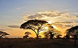 TANZANIA - Tarangire National Park - 42 Tramonto